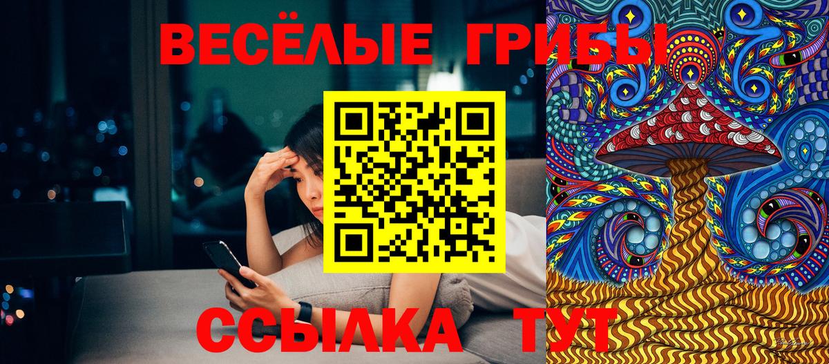 Уссурийск  Псилоцибиновые грибы Psilocybe  Вход с VPN 